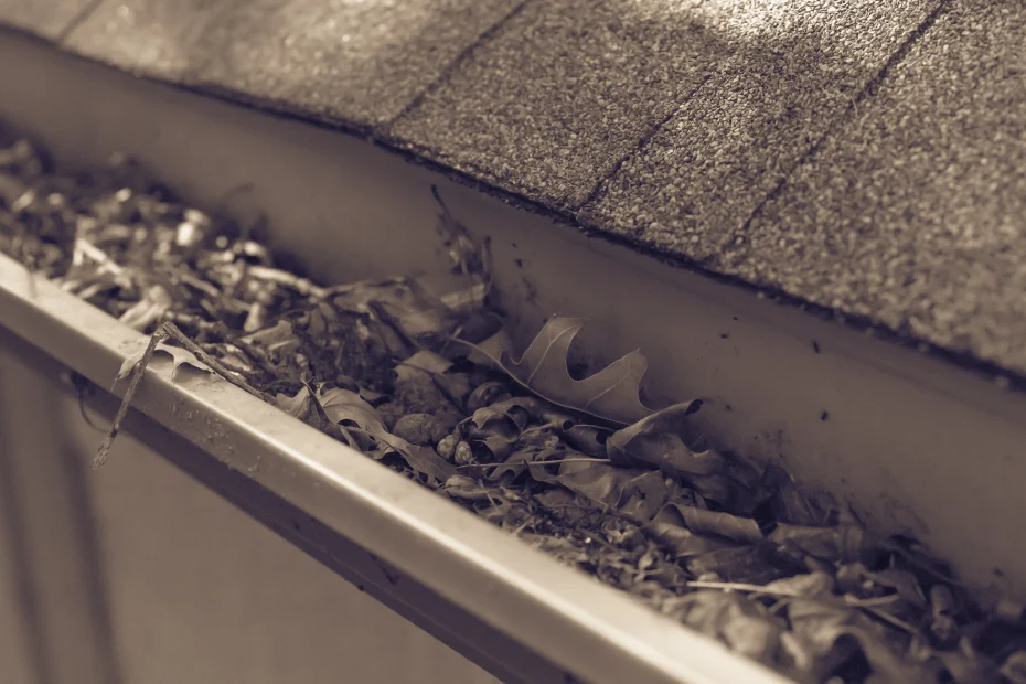 Gutter Cleaning Catoosa