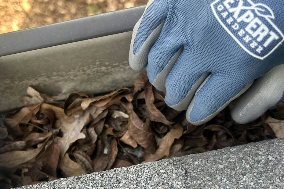 Gutter Cleaning Catoosa