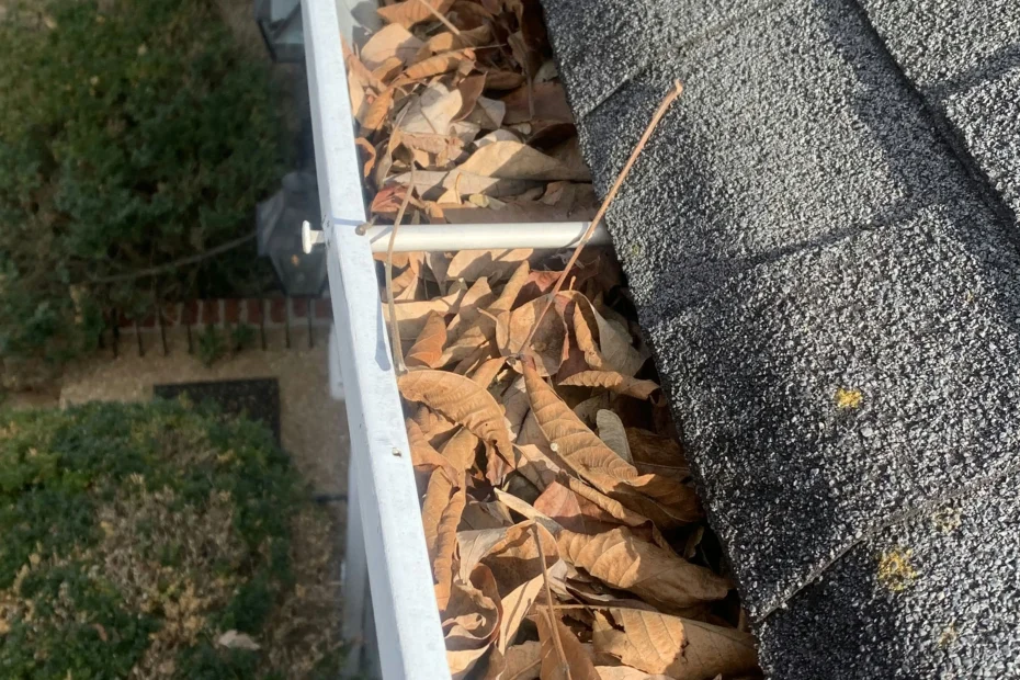 Gutter Cleaning Catoosa